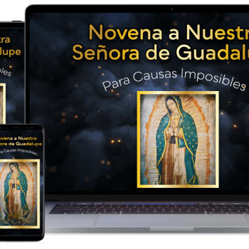 Las Oraciones de la Novena Guadalupana